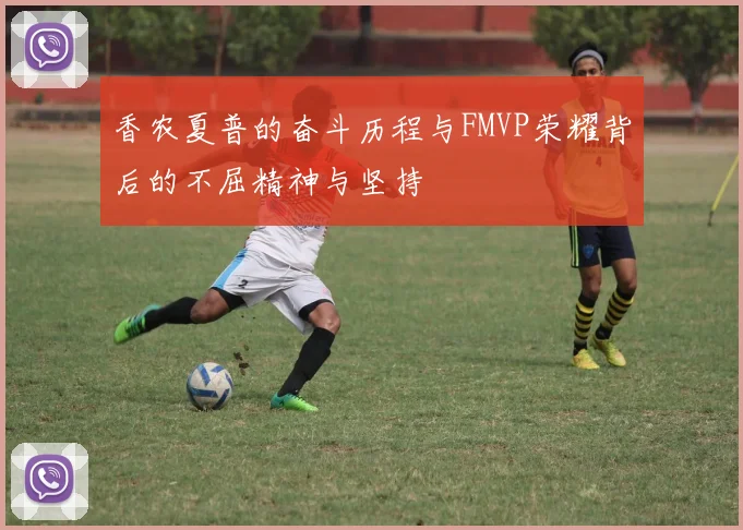 香农夏普的奋斗历程与FMVP荣耀背后的不屈精神与坚持